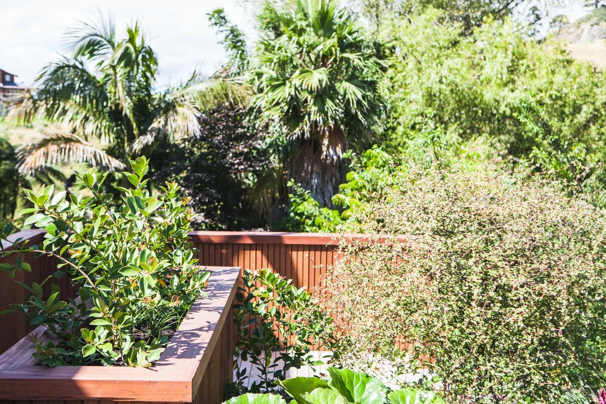 Amongst The Nikau Villa Waihi Buitenkant foto